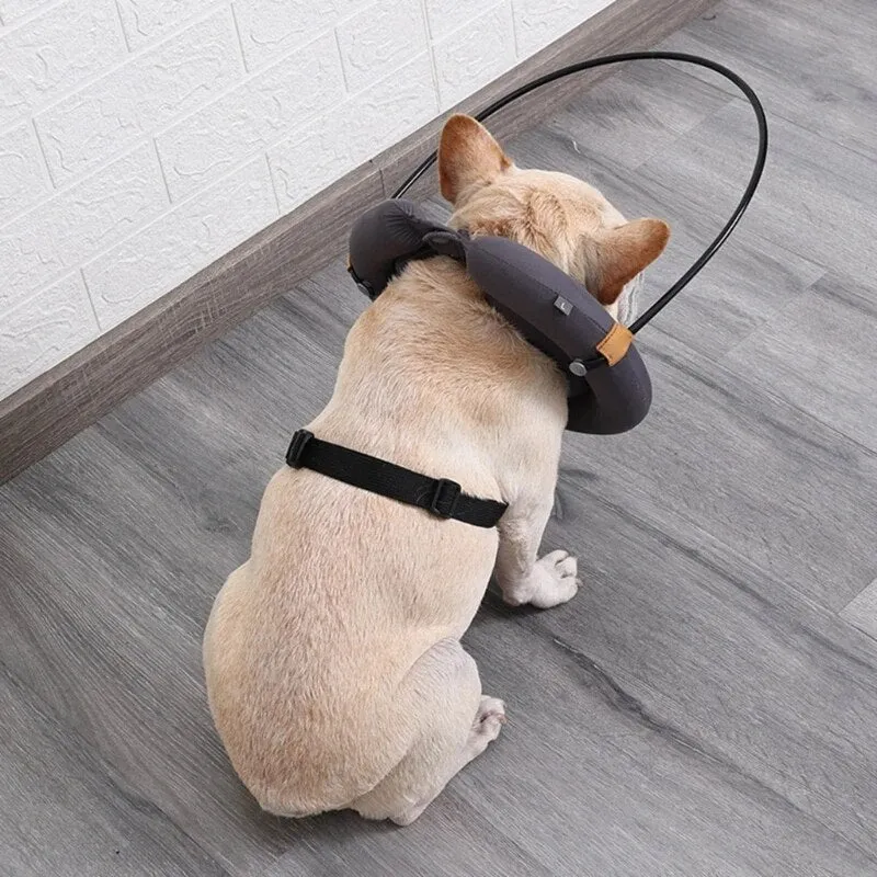 Blind Dog Bumper Guide Blind Dog Harness