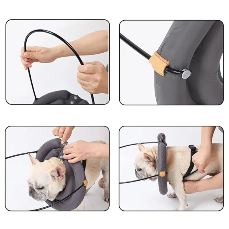 Blind Dog Bumper Guide Blind Dog Harness