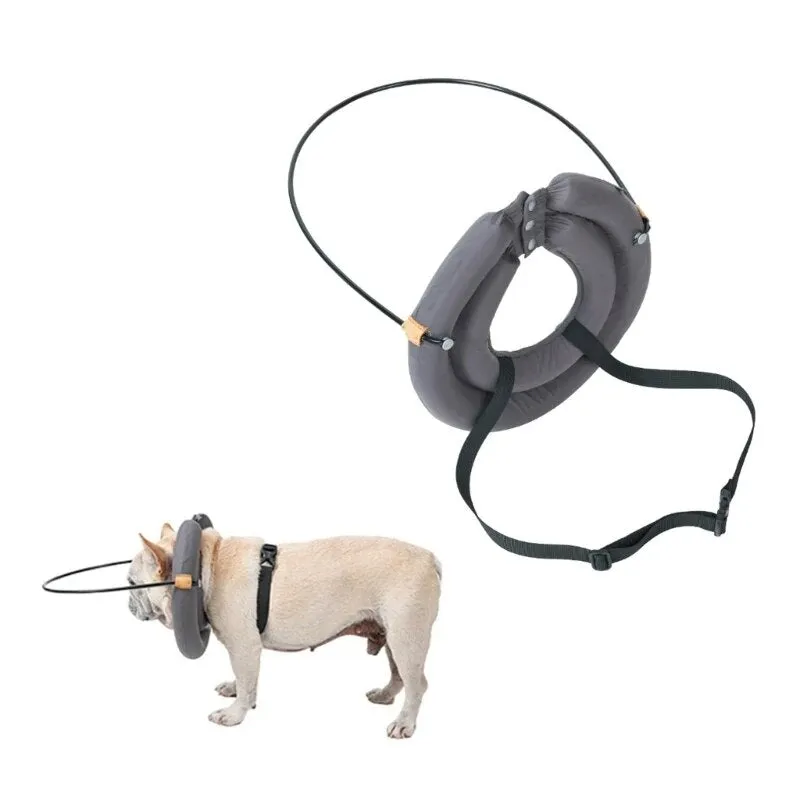 Blind Dog Bumper Guide Blind Dog Harness