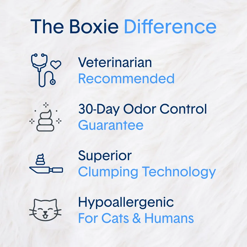 Boxiecat Glo™ Natural Attractions™ Clumping Clay Litter