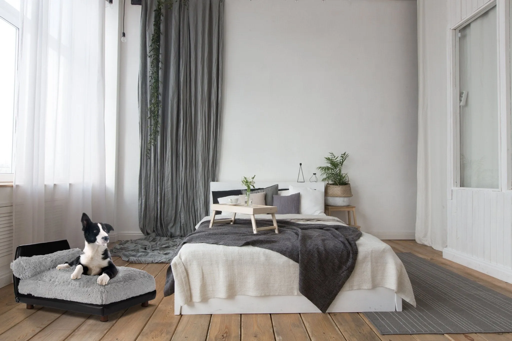 Club Nine Pets Lido Orthopedic Dog Bed in Grey