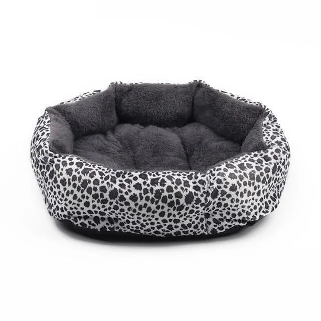 Colorful & Comfy Beds For Dogs