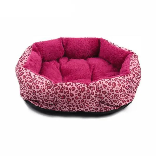 Colorful & Comfy Beds For Dogs