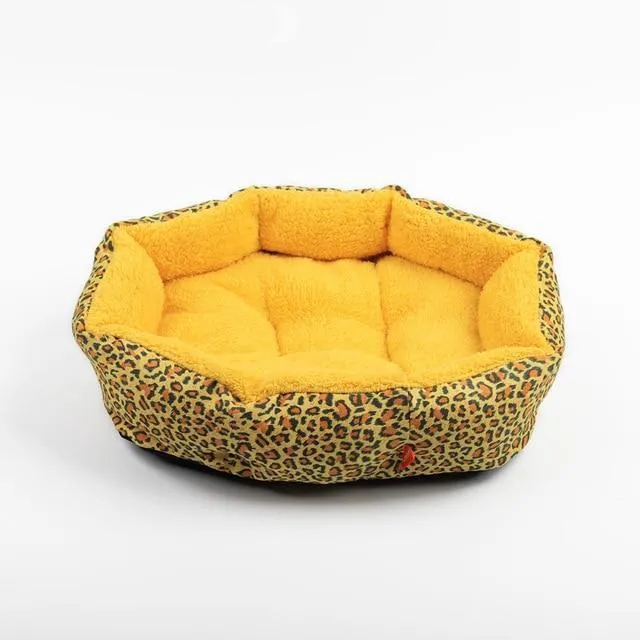Colorful & Comfy Beds For Dogs