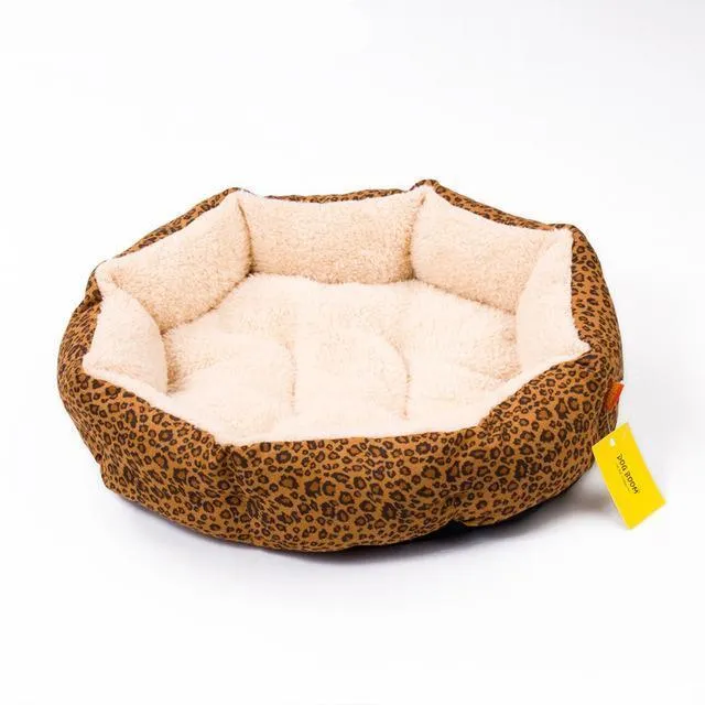 Colorful & Comfy Beds For Dogs