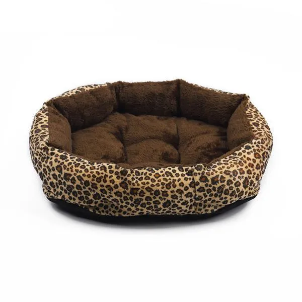 Colorful & Comfy Beds For Dogs