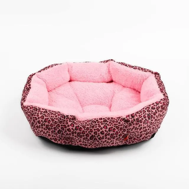 Colorful & Comfy Beds For Dogs