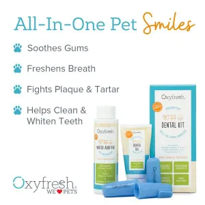 Dental Kit