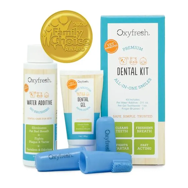 Dental Kit