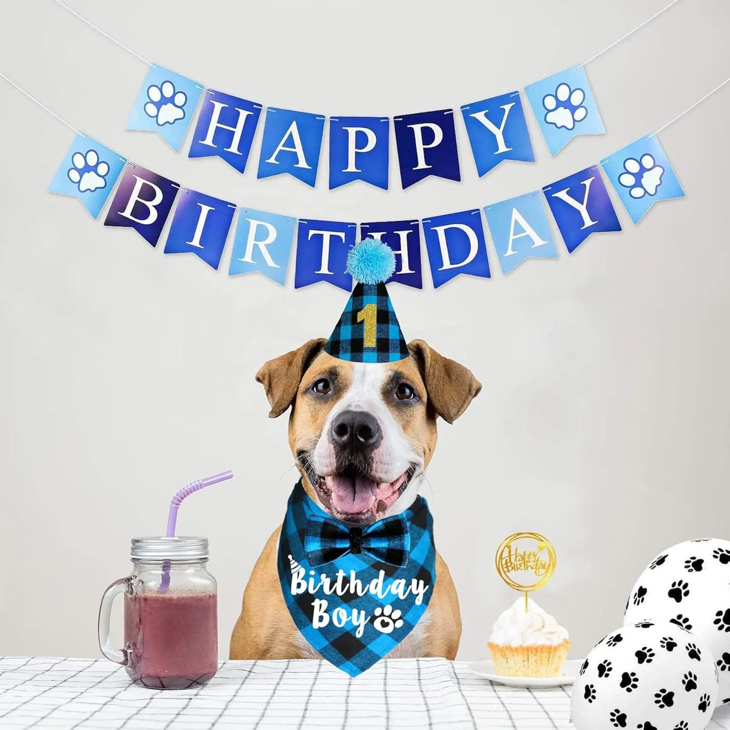 Dog Birthday Party Supplies, Plaid Dog Birthday Hat with Numbers Bandana Bow Tie for Small Medium Large Dogs Pets (Light Blue, Bandana & Hat & Bow Tie & Number)