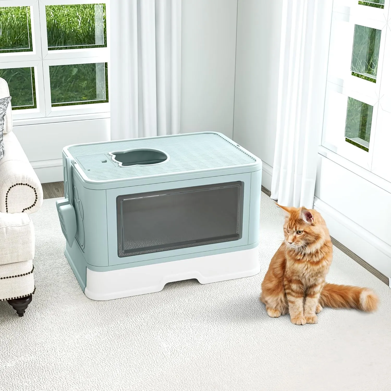 DWVO Enclosed Cat Litter Box with Lid, Two-Way Entry/Exit, Slide-Out Tray with High Edges, Litter Scoop, Self-Groomer, and Deodorizer Filter, Blue - 19" L x 15" W x 15" H