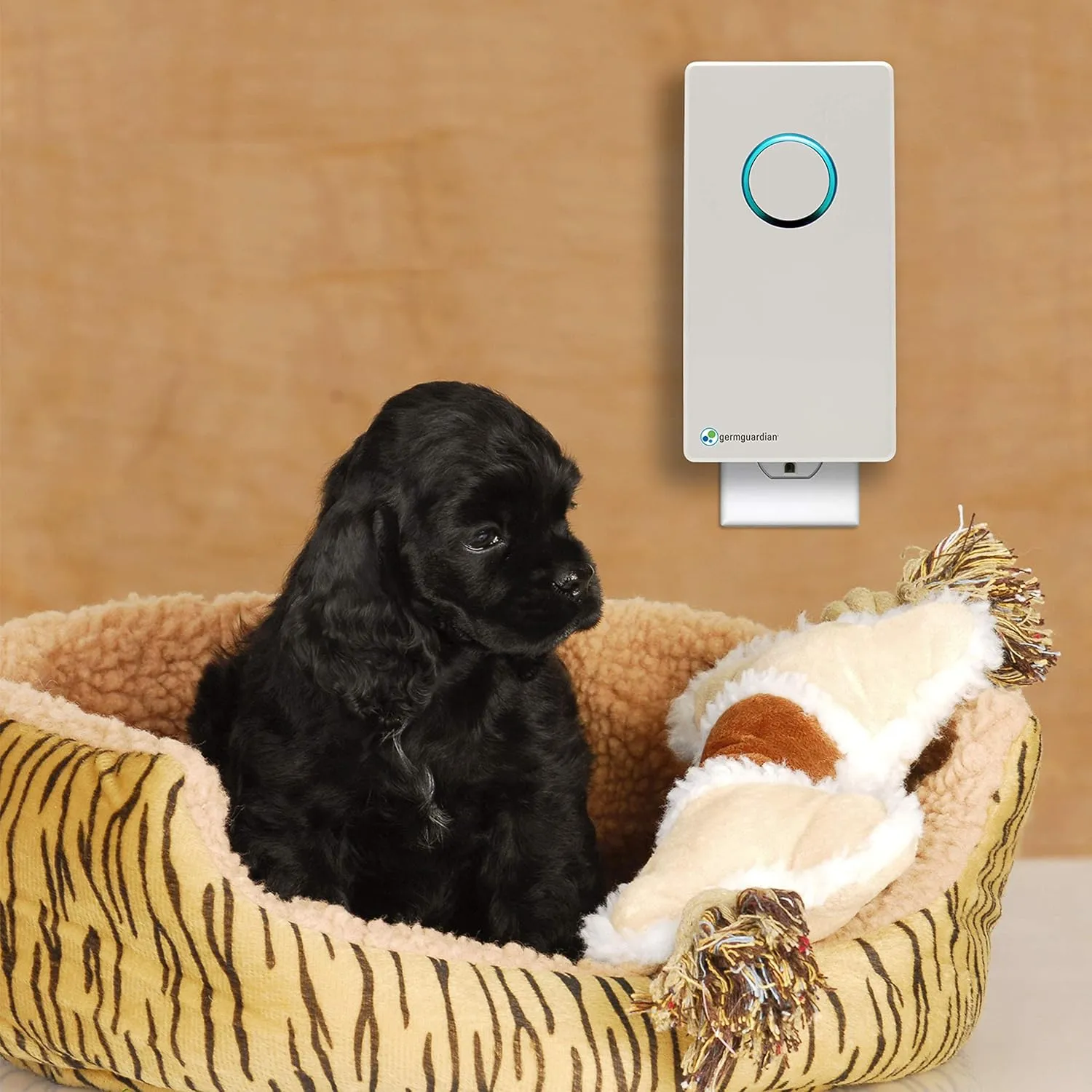 Germ Guardian GG1100W 7 Pluggable Small Air Purifier, Small Room Wall Air Sanitizer, Freshens Air, UV-C Light Kills Germs, Reduces Odors from Pets, Cooking, Mold, GermGuardian, 1-Yr Wty (White)