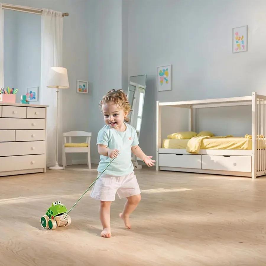 Hape Frog Pull Along