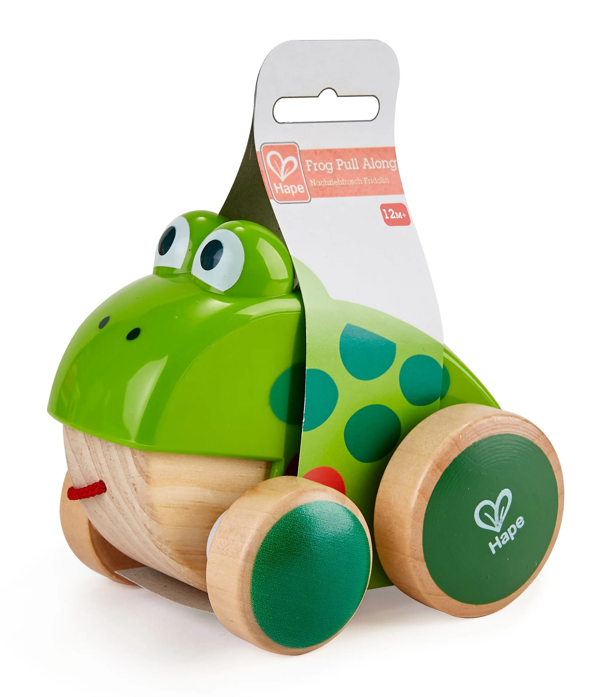 Hape Frog-Themed Push & Pull Along Toy