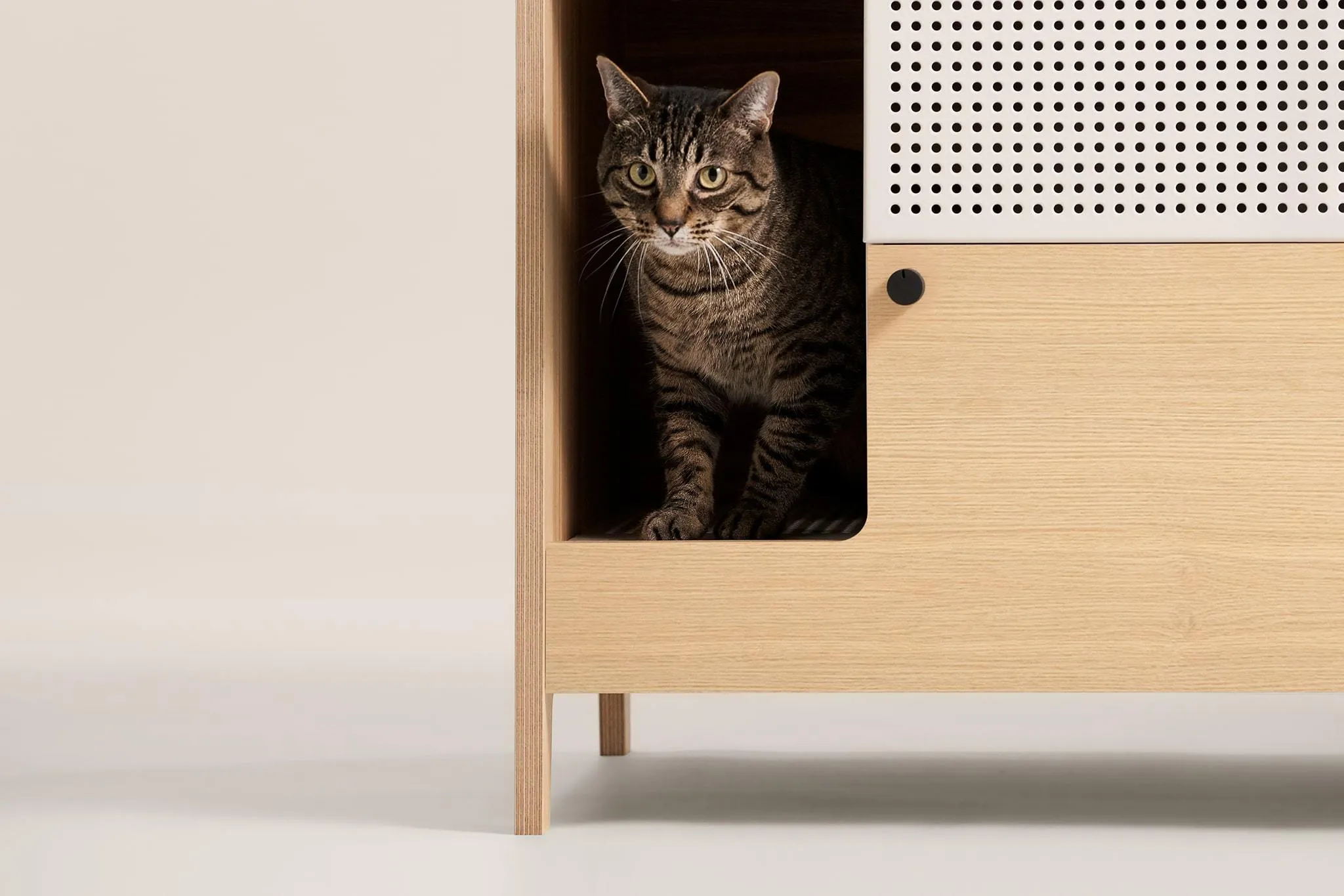 Haven Litter Box Enclosure