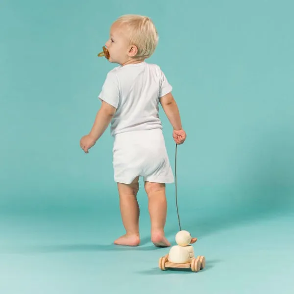 Hevea Kawan Rubberwood Stacker & Pull Toy