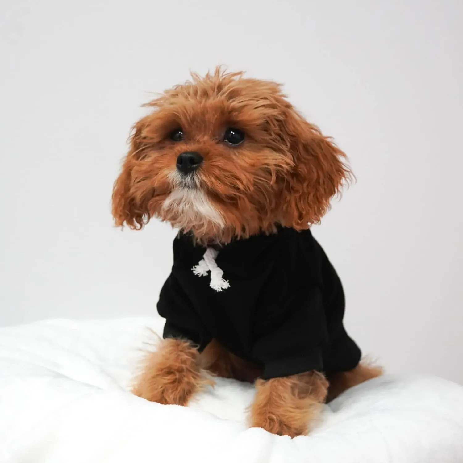 It's My Barkday! Dog Hoodie Fleece Lined Pullover Sweatshirt with Leash Hole (Black, 2X-Large 179)