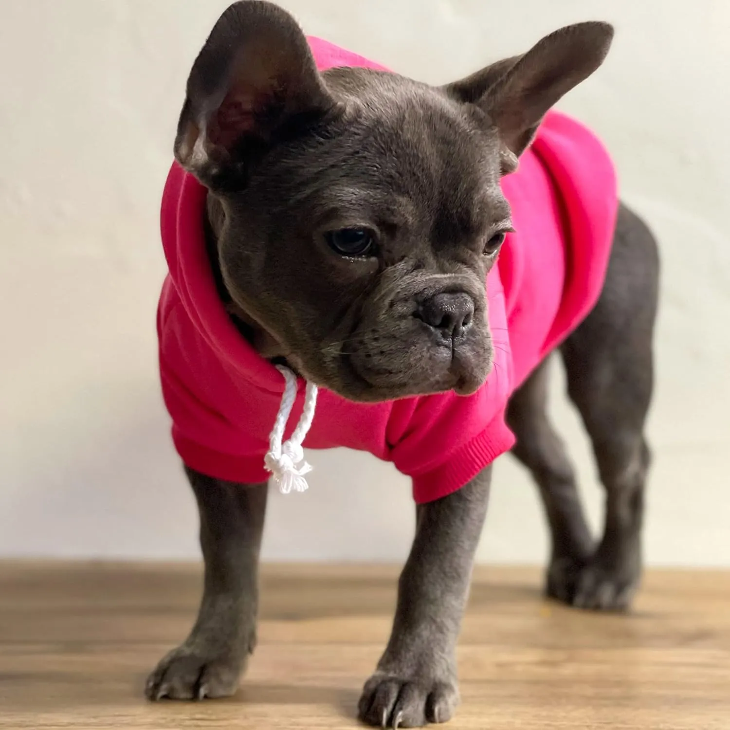 It's My Barkday! Dog Hoodie Fleece Lined Pullover Sweatshirt with Leash Hole (Black, 2X-Large 179)