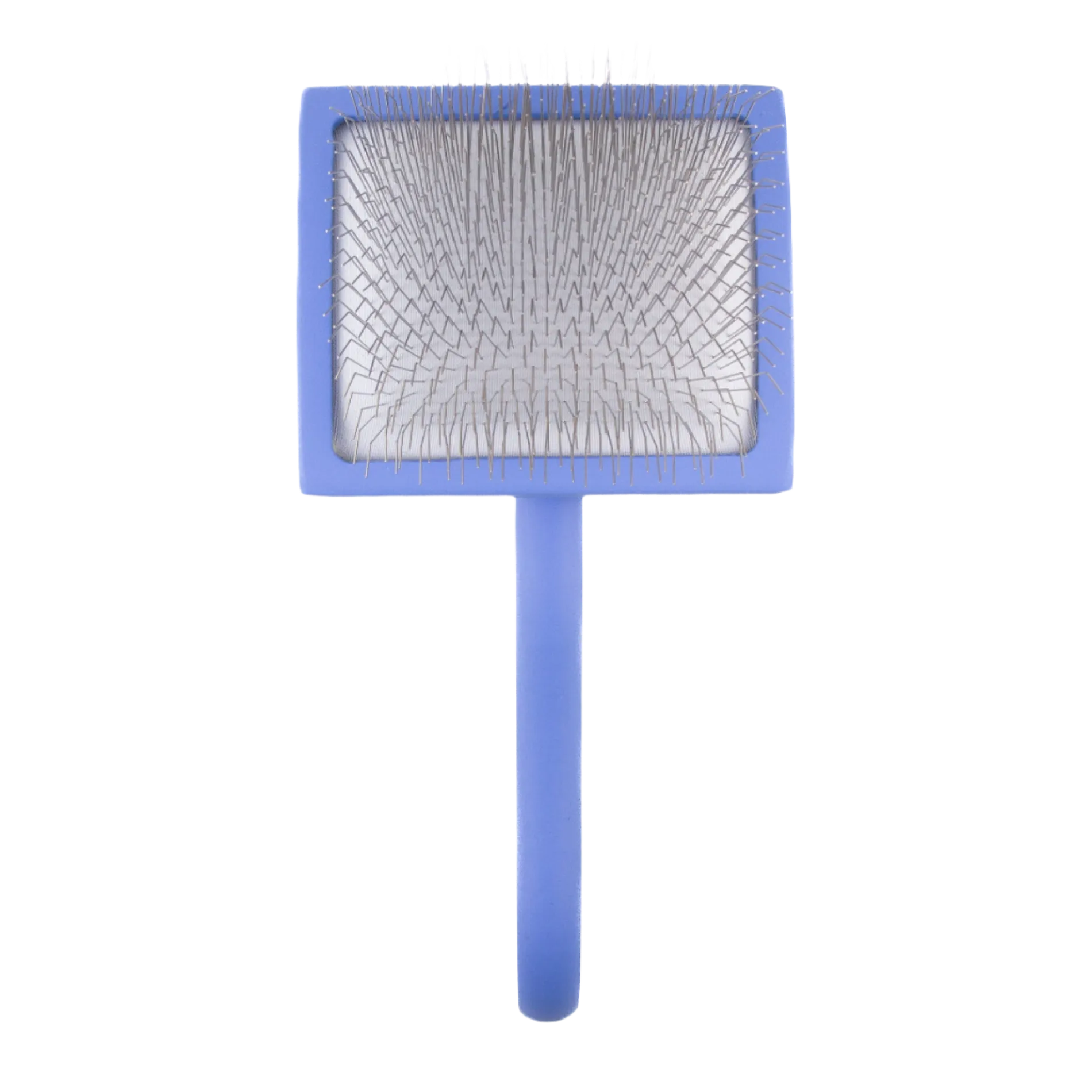 Large Curved Blue Dematting Brush by PetStore.Direct