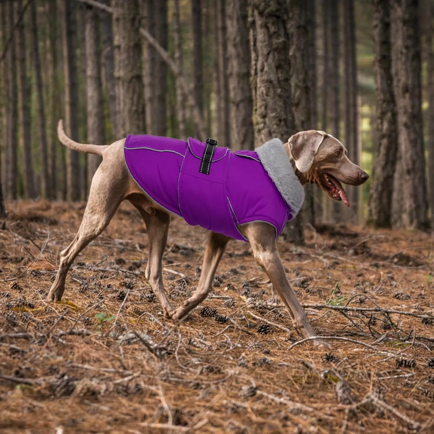 Lelepet Warm Dog Coat Reflective Fleece Vest Waterproof Dog Jacket with Adjustable Buckle Hook & Loop Windproof Cold Weather Coats for Small Medium Large Dogs, Purple, L