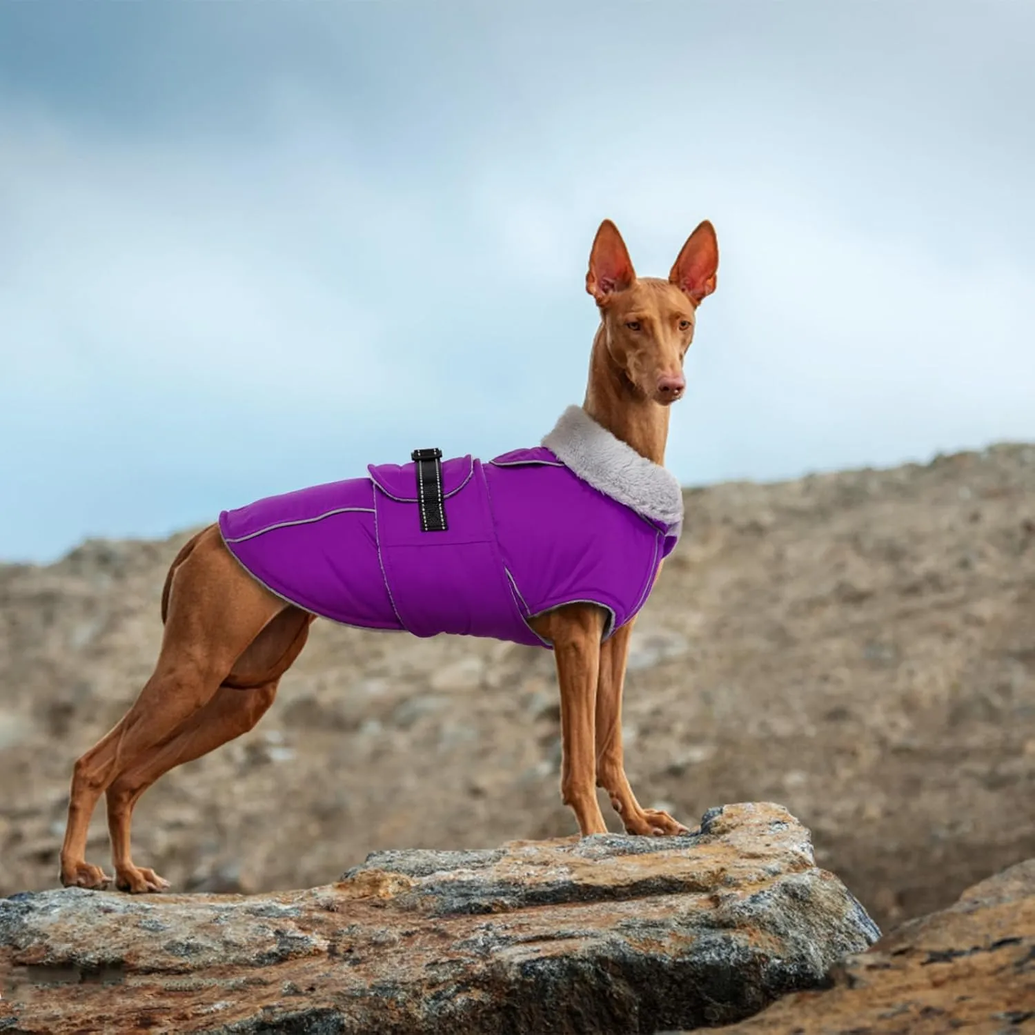 Lelepet Warm Dog Coat Reflective Fleece Vest Waterproof Dog Jacket with Adjustable Buckle Hook & Loop Windproof Cold Weather Coats for Small Medium Large Dogs, Purple, L