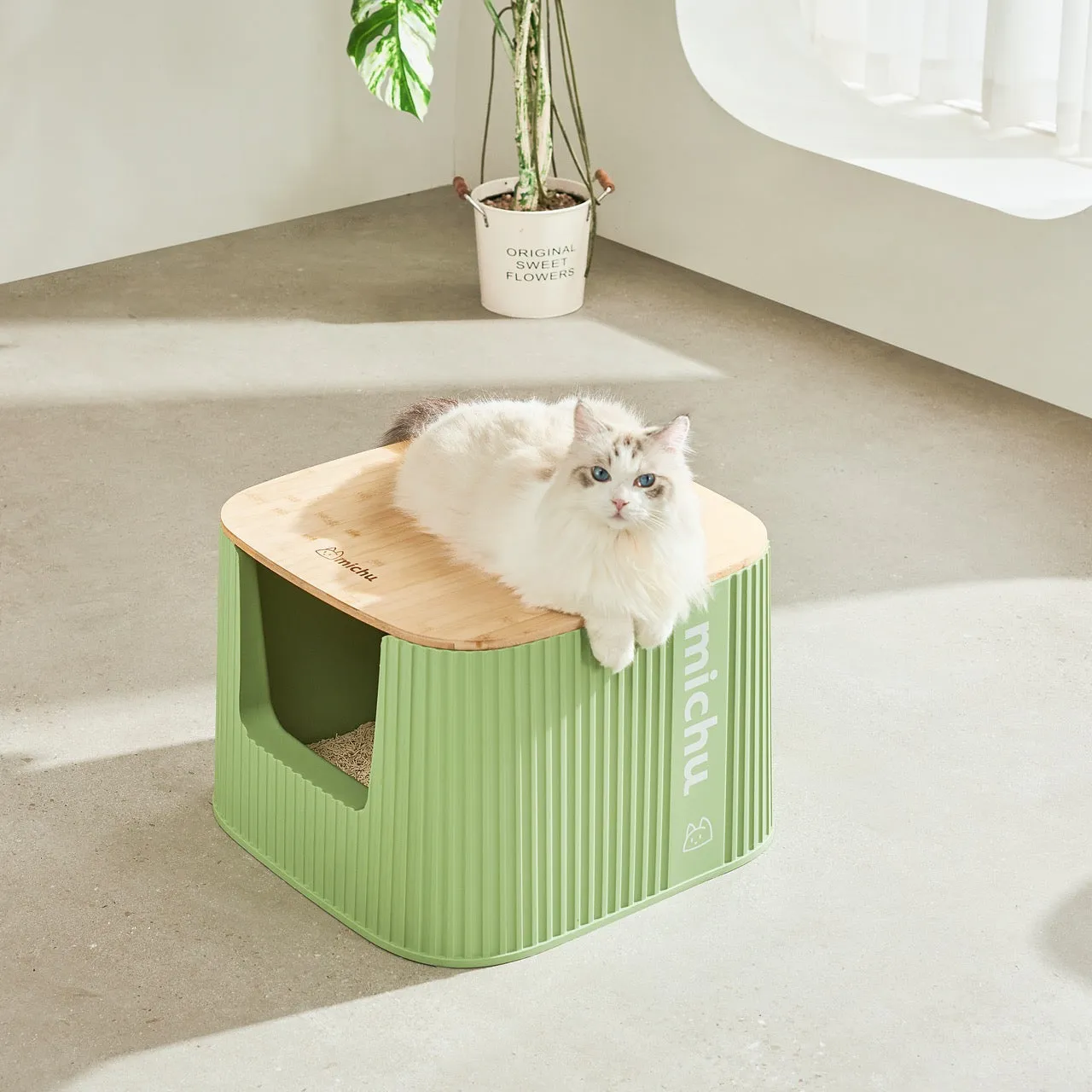 Michu XXL Sage Deluxe Cat Litter Box - Spacious Design Pre Order