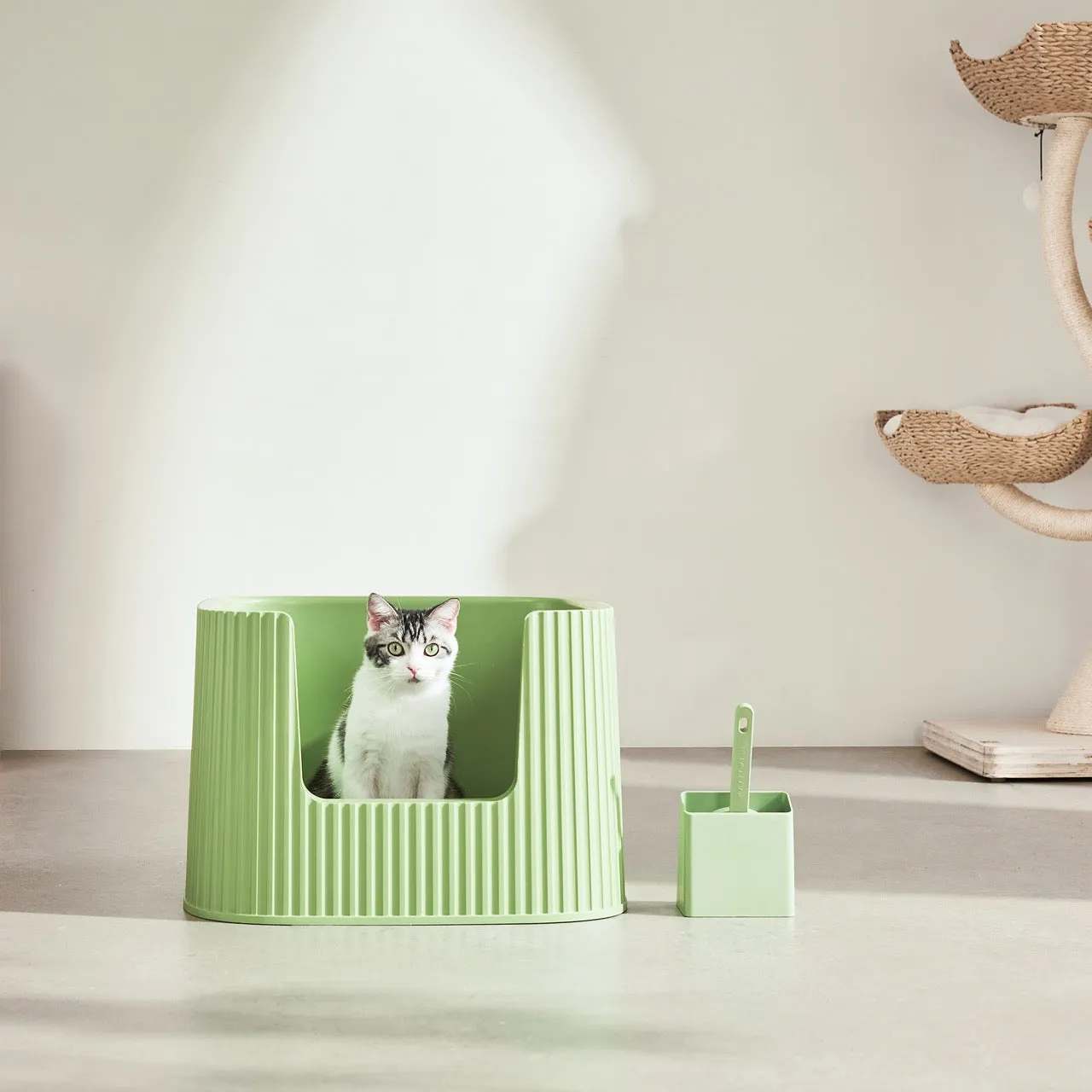 Michu XXL Sage Deluxe Cat Litter Box - Spacious Design Pre Order
