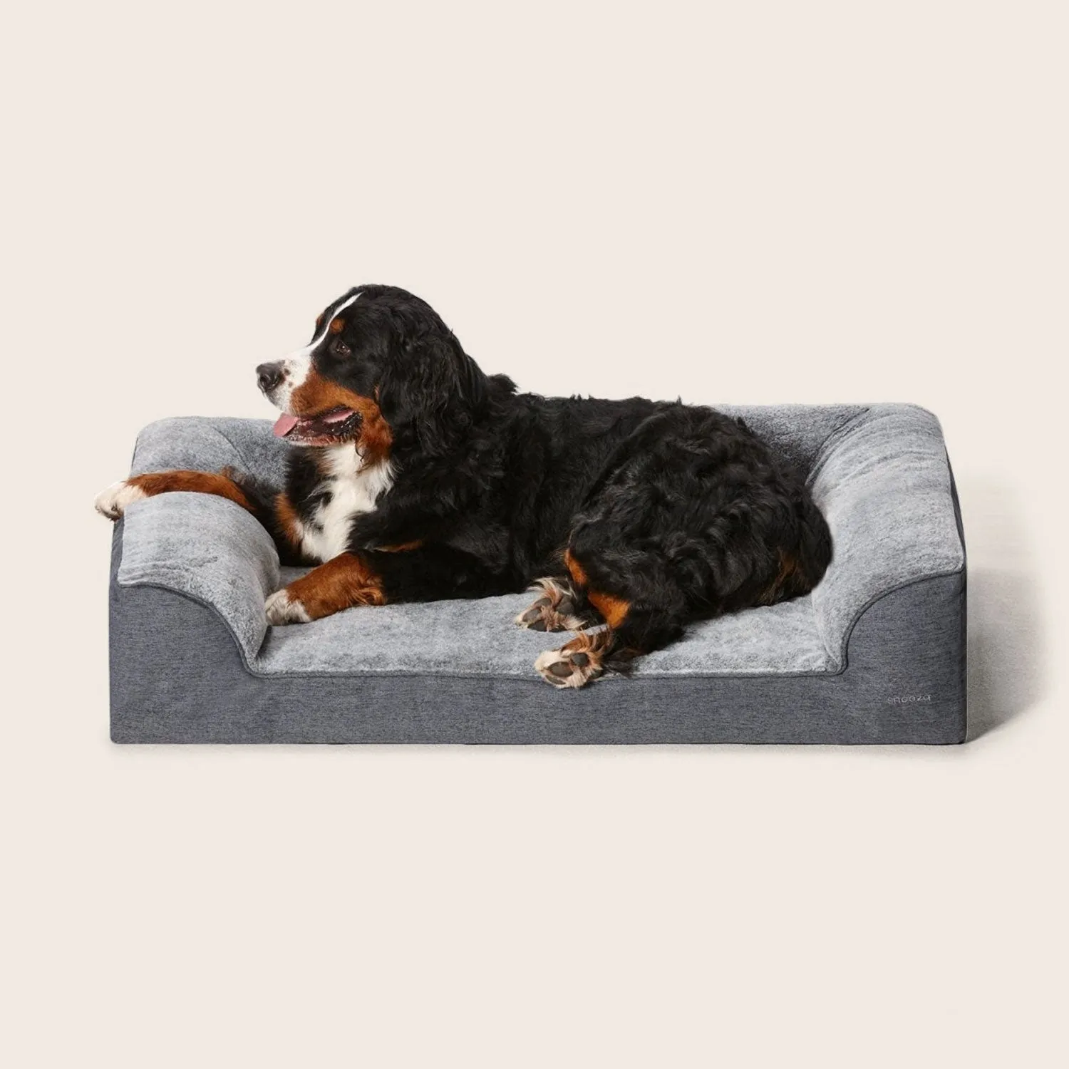 Ortho Dream Sofa