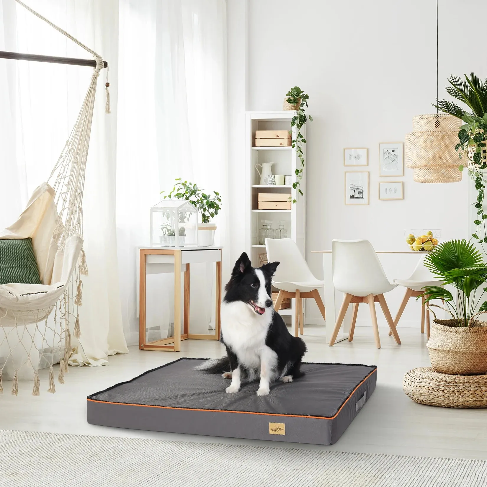 Orthopedic Foam Pet Bed (USA)