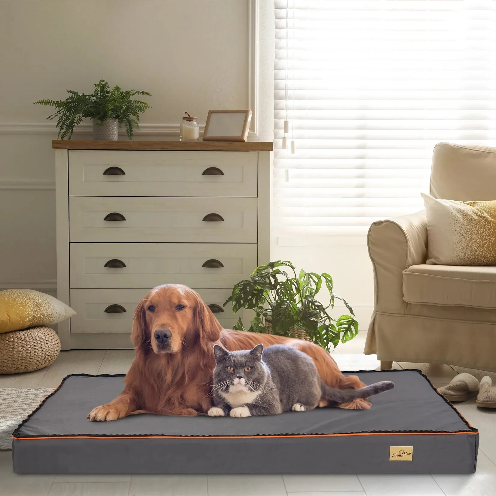 Orthopedic Foam Pet Bed (USA)