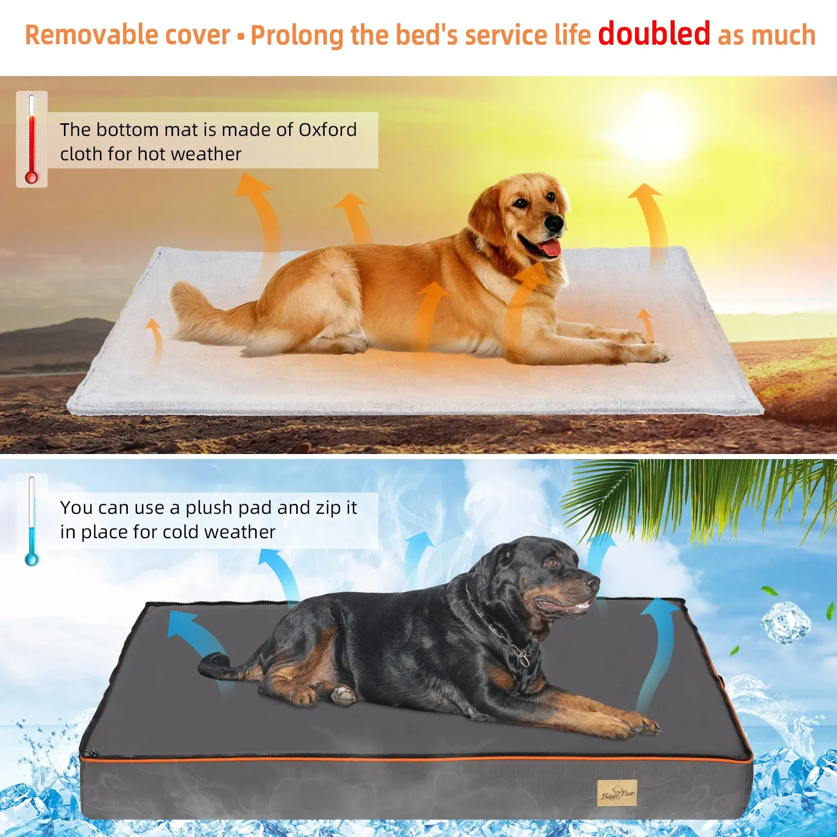 Orthopedic Foam Pet Bed (USA)
