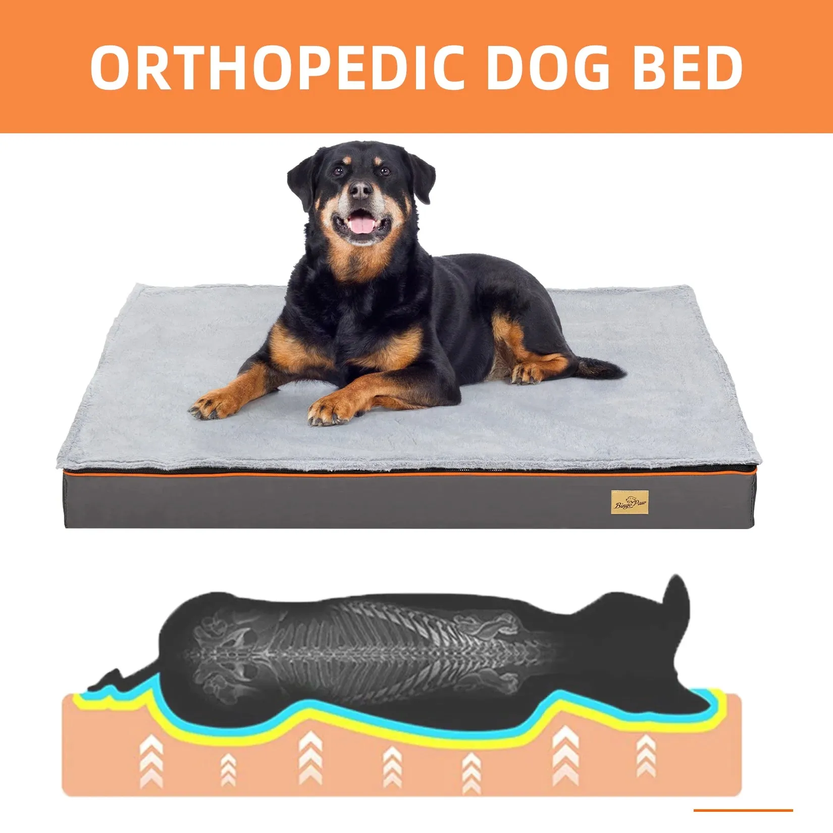Orthopedic Foam Pet Bed (USA)