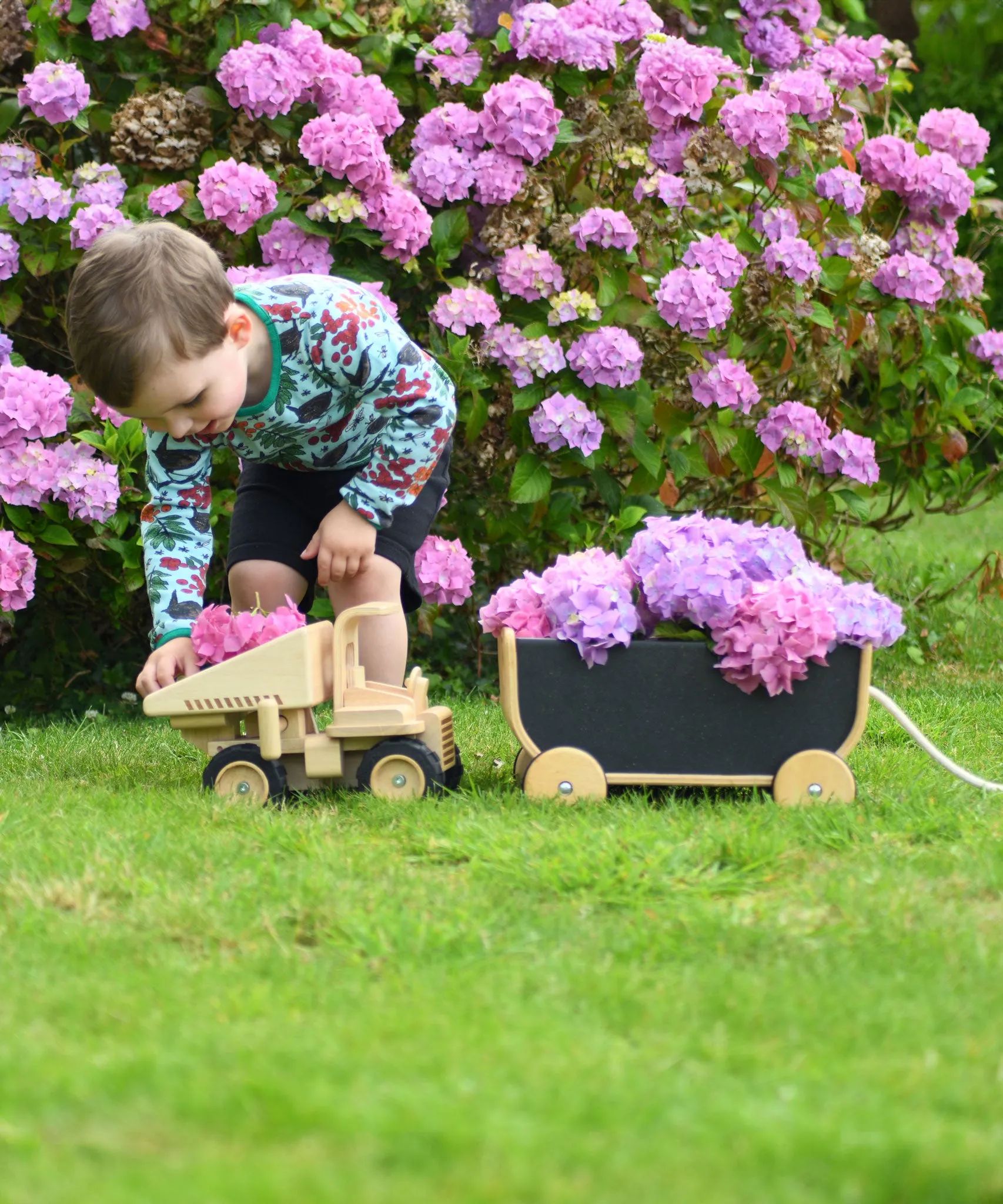 Plan Toys Special Edition Natural Dump Truck