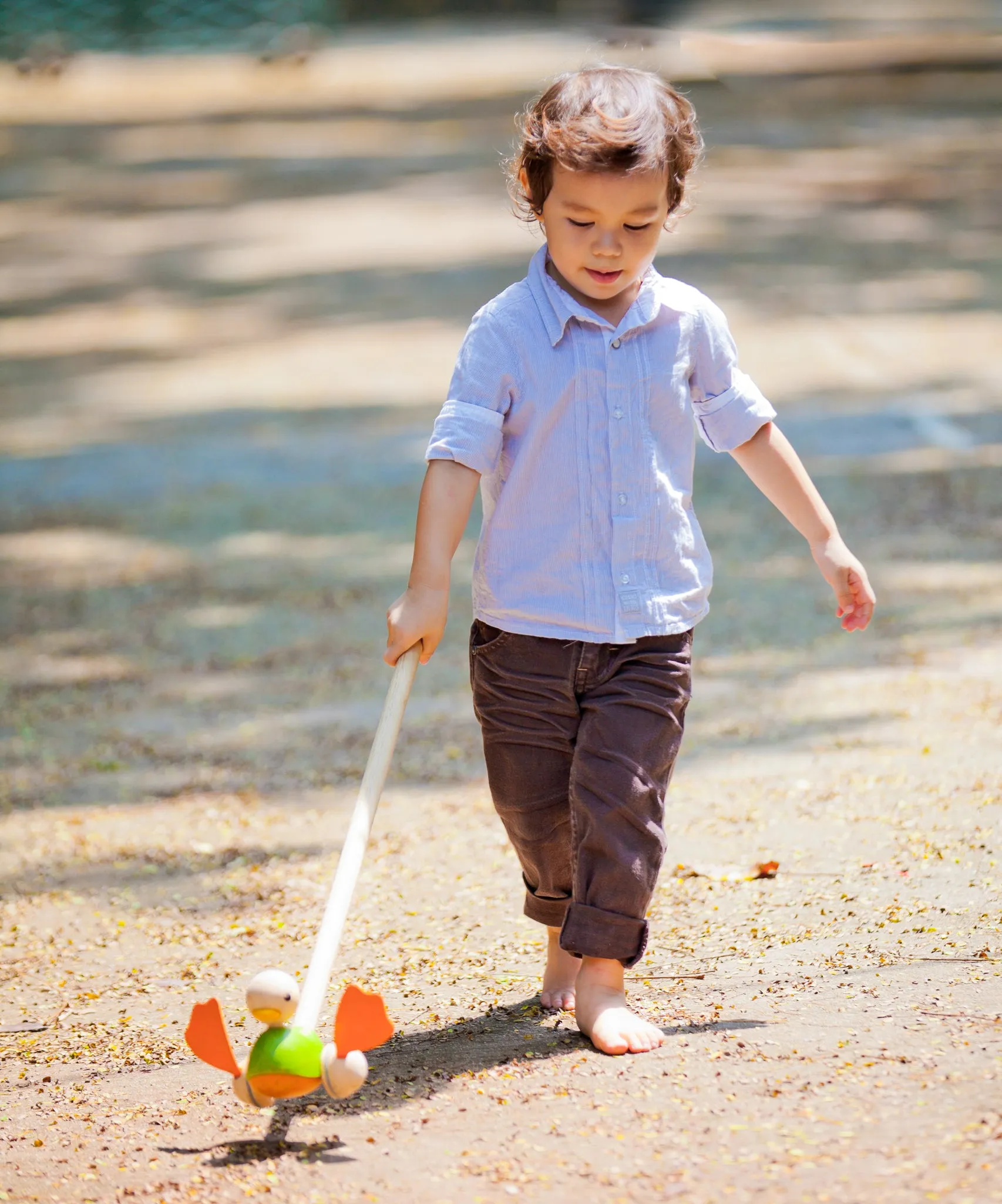PlanToys Push Along Duck