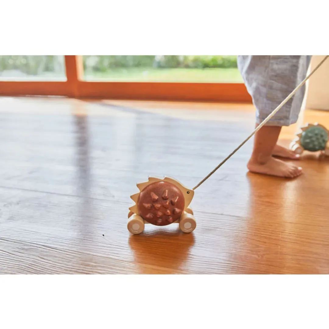 Pull-Along Hedgehog