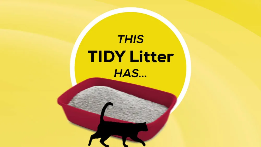 Purina Tidy Cats Clumping Cat Litter, Instant Action Multi Cat Litter, 20 lb. Jug