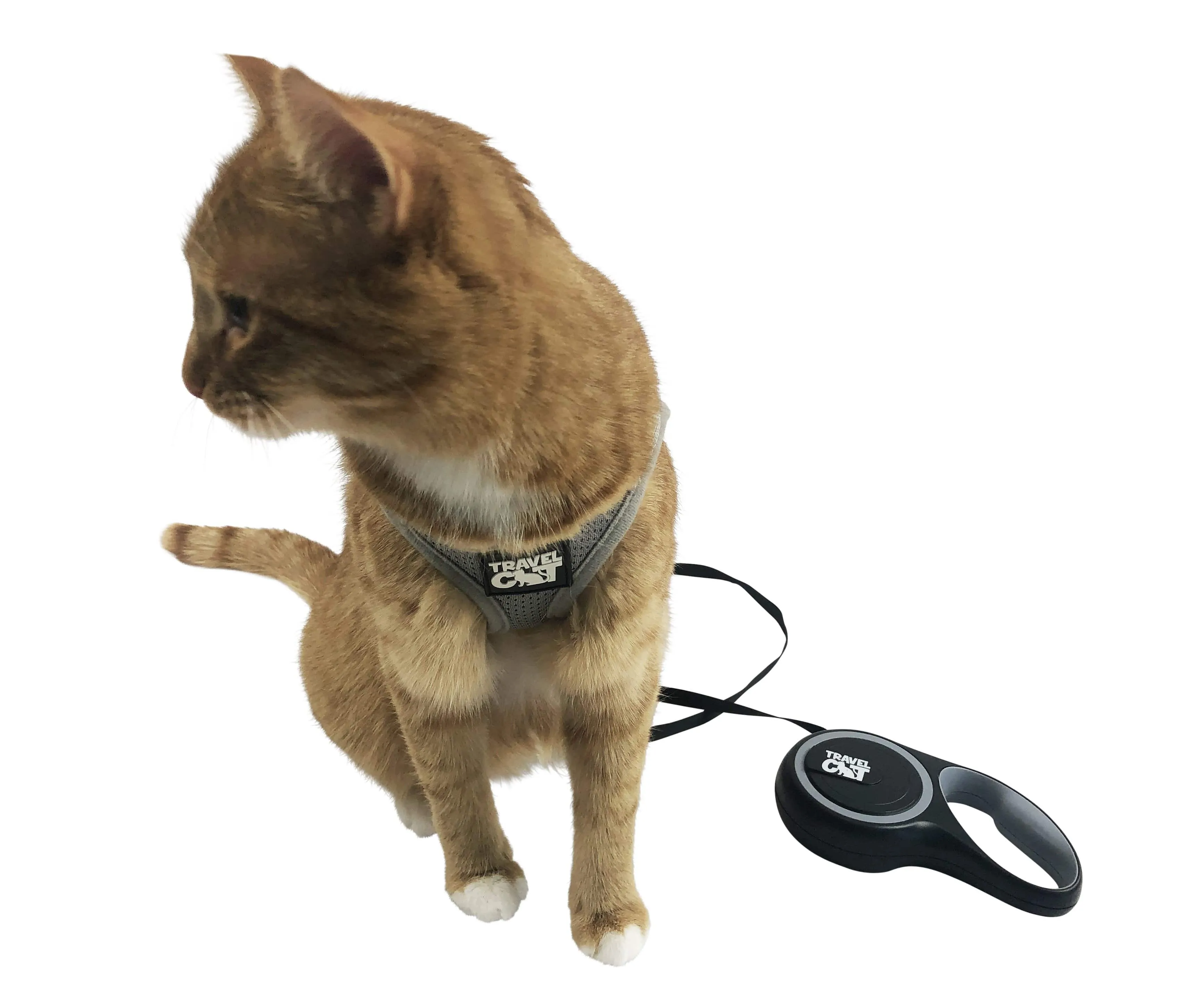 "The Gotta Go" Travel Litter Box and Retractable Cat Leash Set