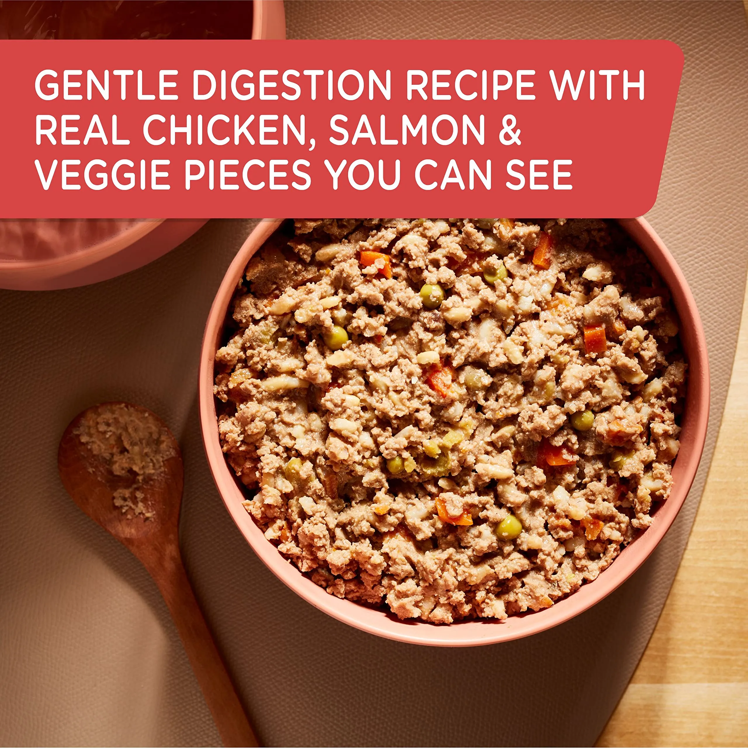 Rachael Ray Nutrish Gentle Digestion Chicken Salmon and Pumpkin Pate Recipe Canned Dog Food - 13 Oz - Case of 12