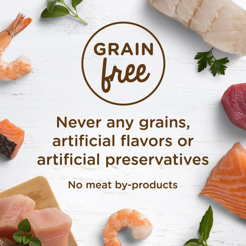 Rachael Ray Nutrish Grain-Free Oceanfish and Chicken Catch-iatore Recipe Wet Dog Food Trays - 2.8 Oz - Case of 24