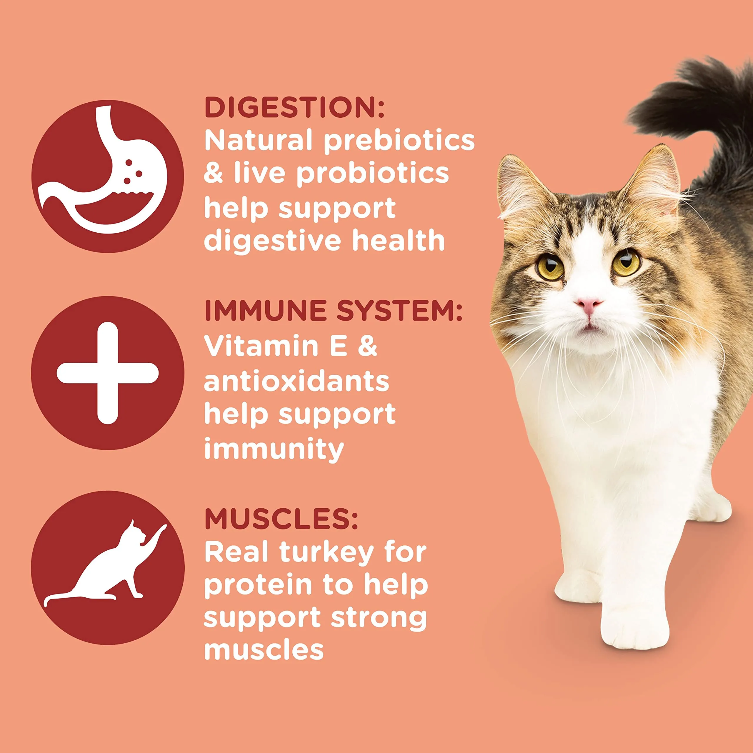 Rachael Ray Nutrish Inner Health Turkey and Salmon with Chickpeas Recipe Dry Cat Food - 3 Lbs