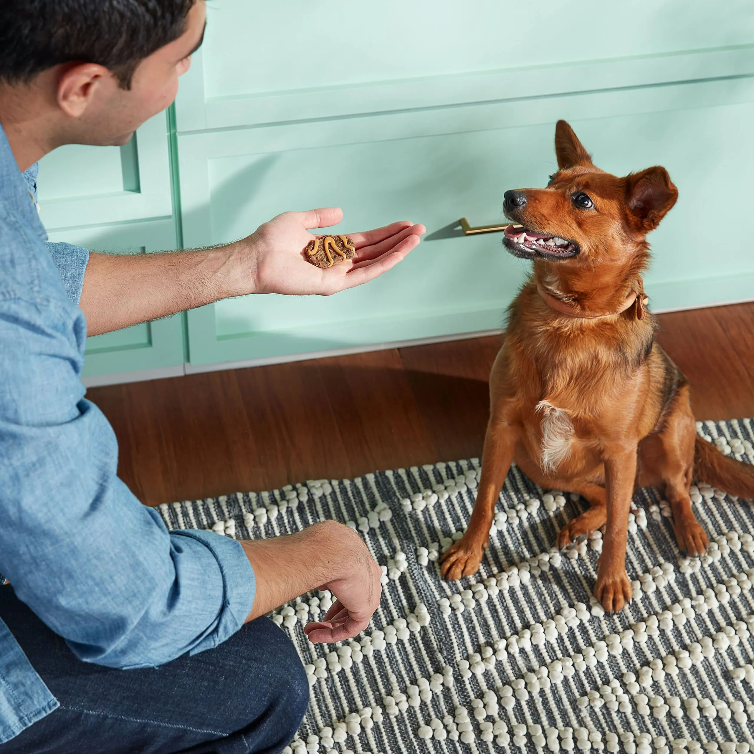 Rachael Ray Nutrish Jerky-Style Chicken Peanut Butter and Bacon Jerky Dog Treats - 4.5 Oz