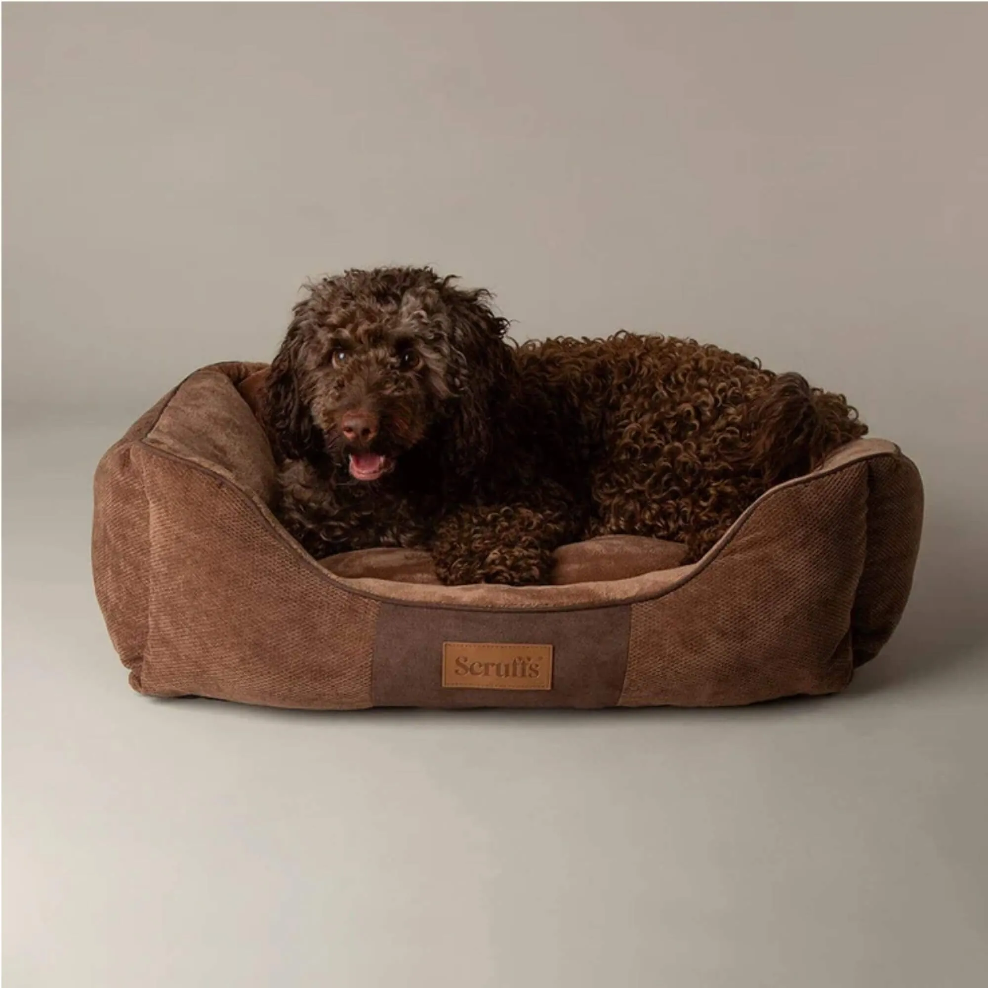Scruffs Chester Box Dog Bed