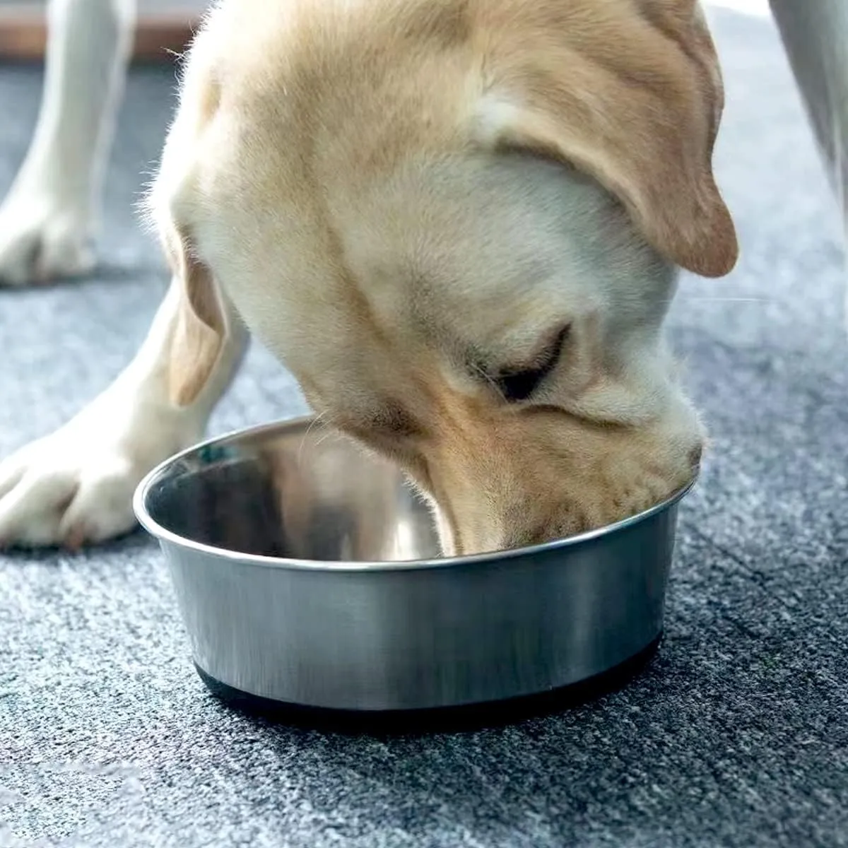 Set of 2 Dog Bowls, Rust Resistant Stainless Steel Pet Bowls, Holds 4 Cups, Heavy Duty Metal Food and Water Bowl for Feeding Dogs and Cats, Dishwasher Safe, BPA Free Rubber Base, Blue and Pink