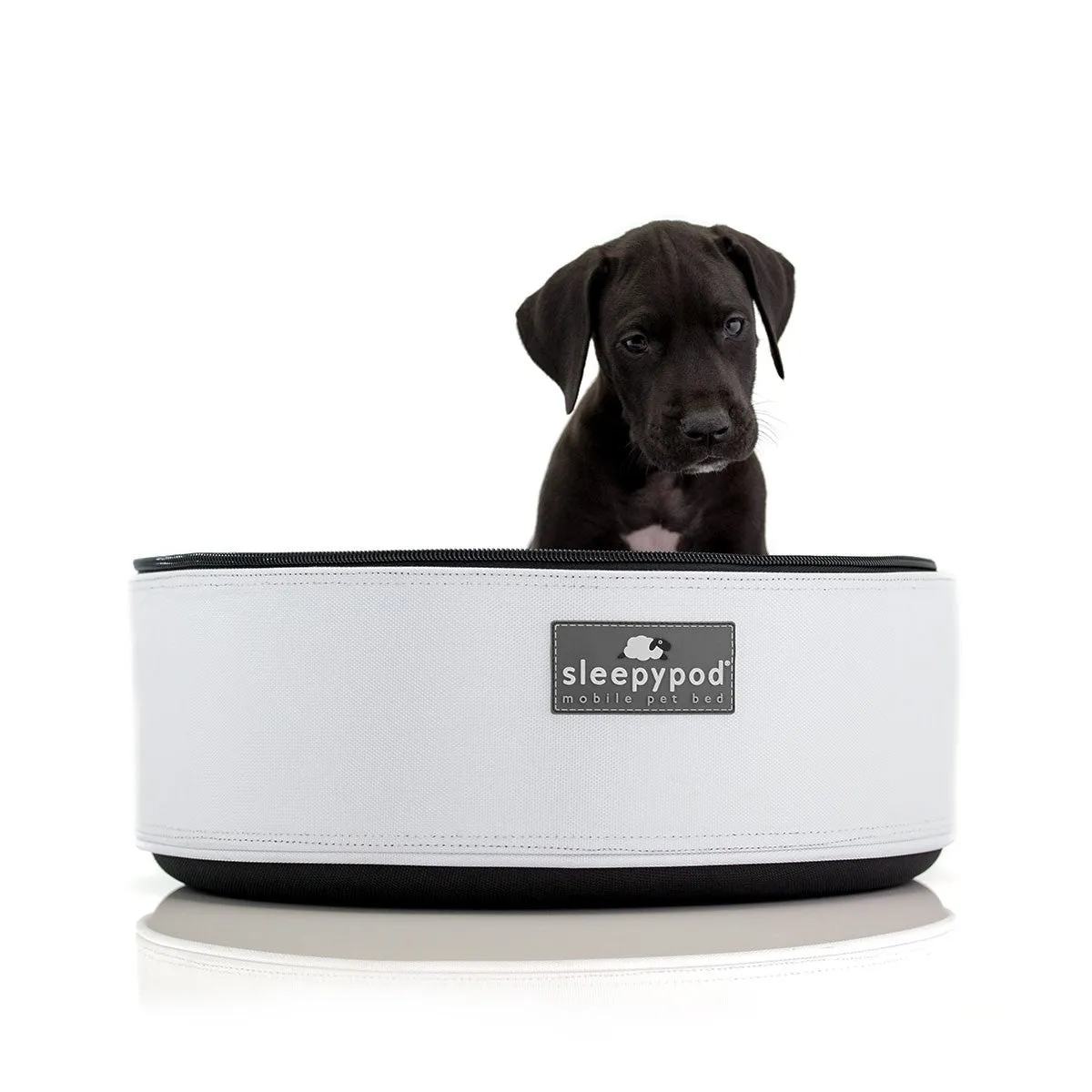 SleepyPod Pet Carrier: White