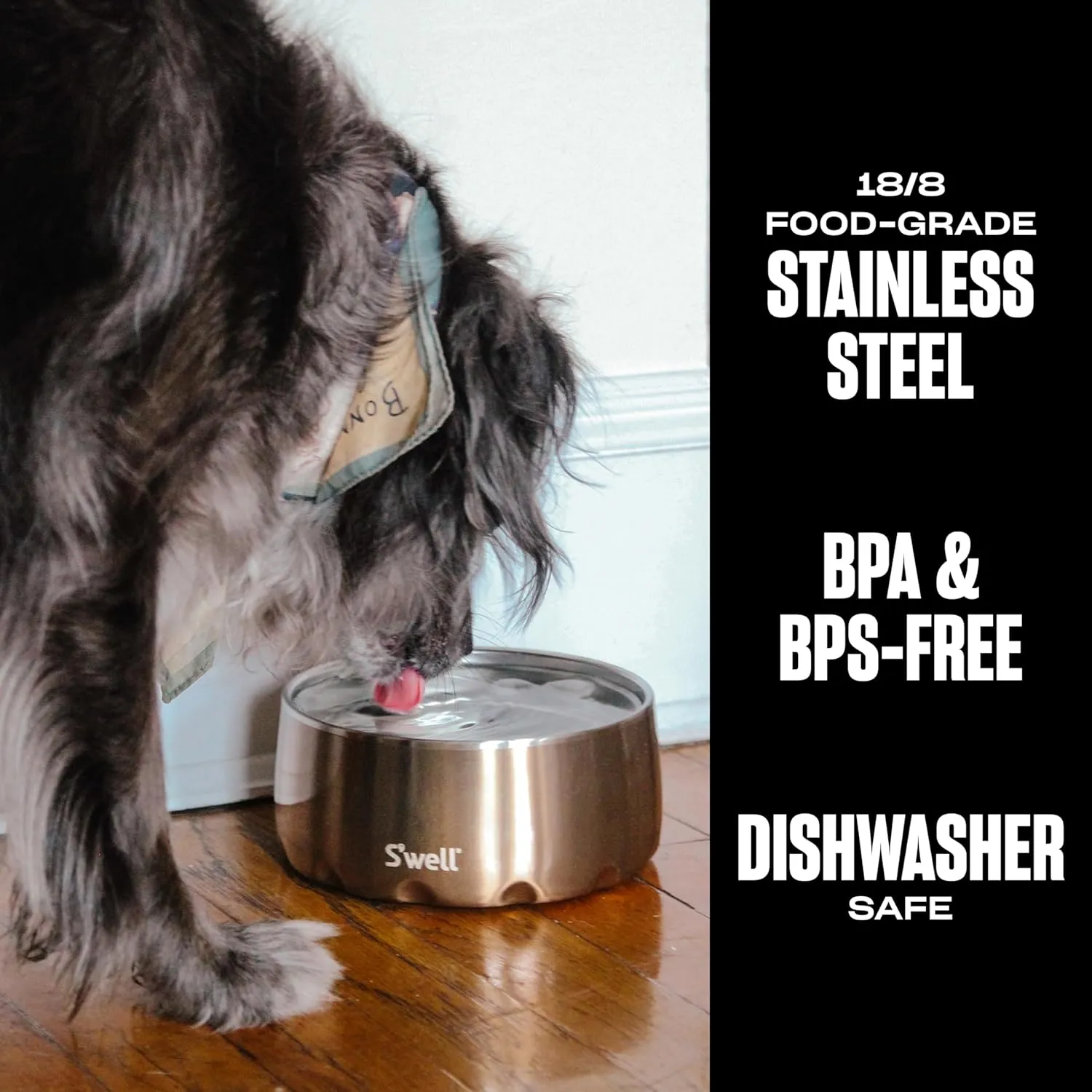 S'well Stainless Steel Pet Bowl, 32oz, Pyrite, for Small to Medium Size Dogs, Mess Free Design with Non Slip Rubber Bottom, Dishwasher Safe, BPA Free