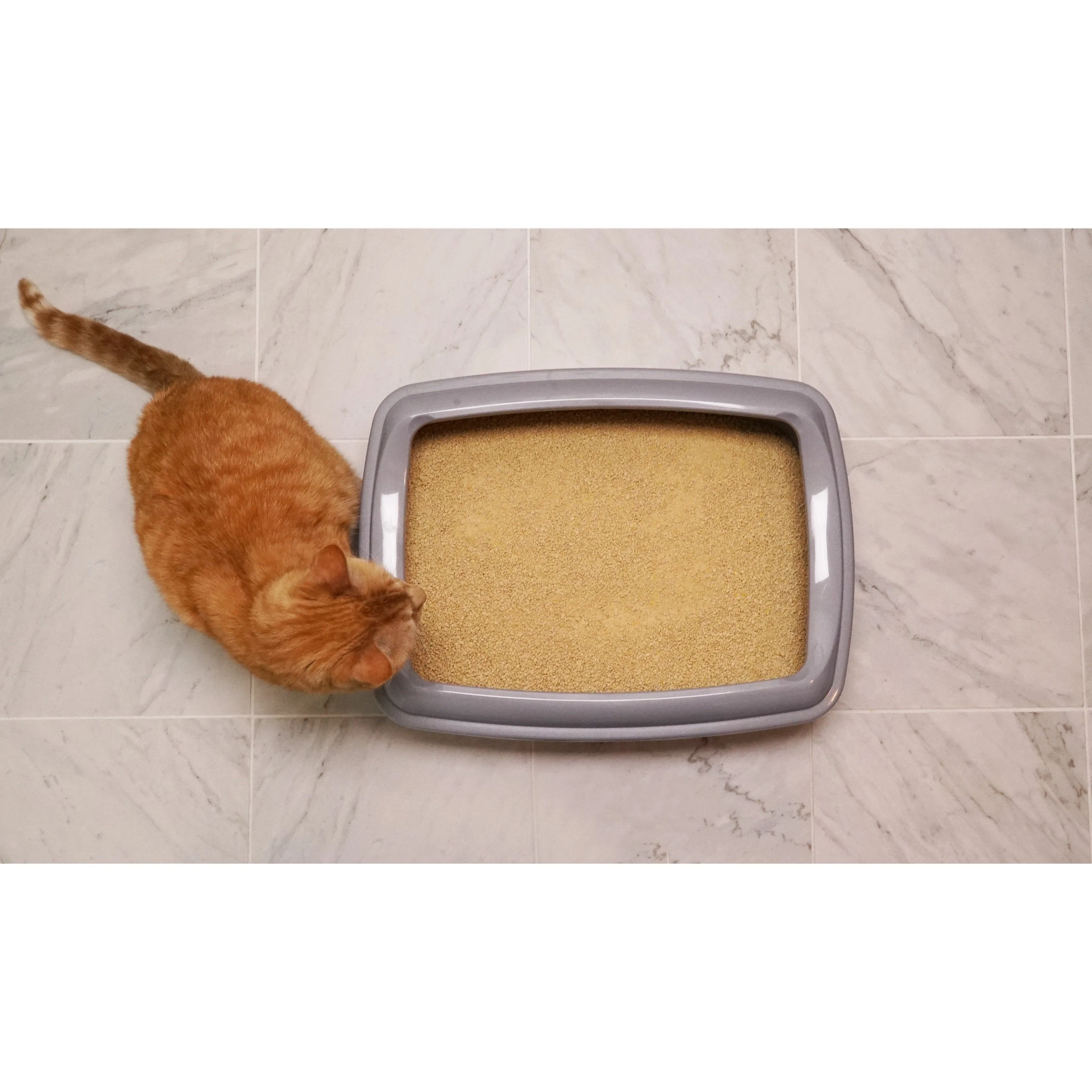 Worlds Best Multiple Cat Clumping Cat Litter 12.7kg^^^